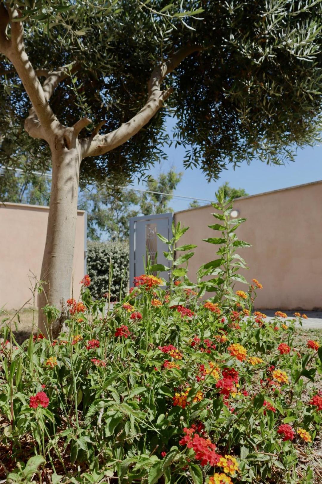 Monnalisa Village Fiumicino Exterior foto